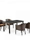 Комплект мебели (T25 Brown) 4+1 купить